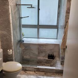 Zenith (D10), Apartment #485727291